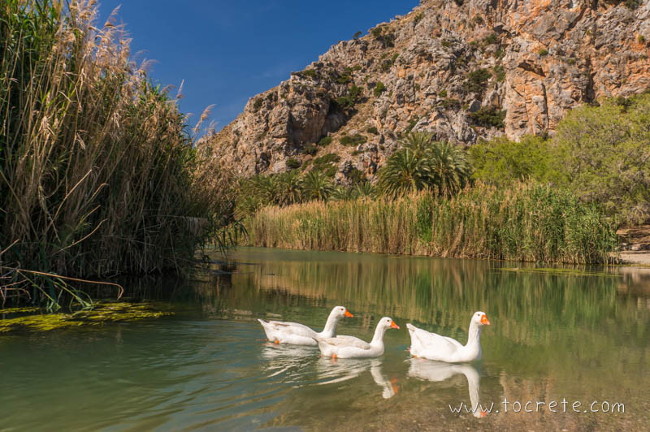 Лимни Превели (Limni Preveli) Лимни Превели (Limni Preveli)