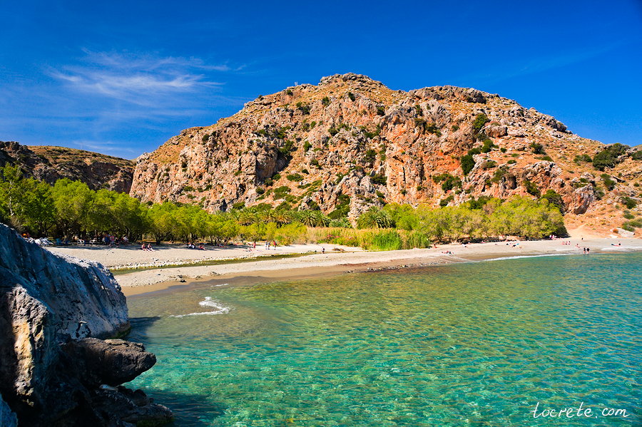 Пальмовый лес и пляж Превели (Preveli forest and beach) Пальмовый лес и пляж Превели (Preveli forest and beach)