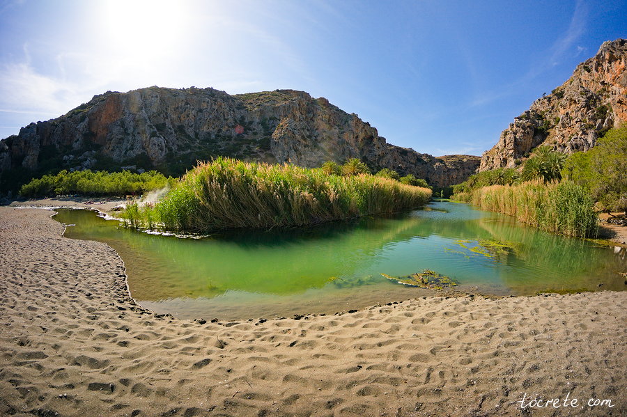 Пальмовый лес и пляж Превели (Preveli forest and beach) Пальмовый лес и пляж Превели (Preveli forest and beach)