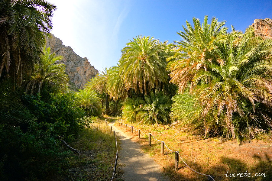 Пальмовый лес и пляж Превели (Preveli forest and beach) Пальмовый лес и пляж Превели (Preveli forest and beach)