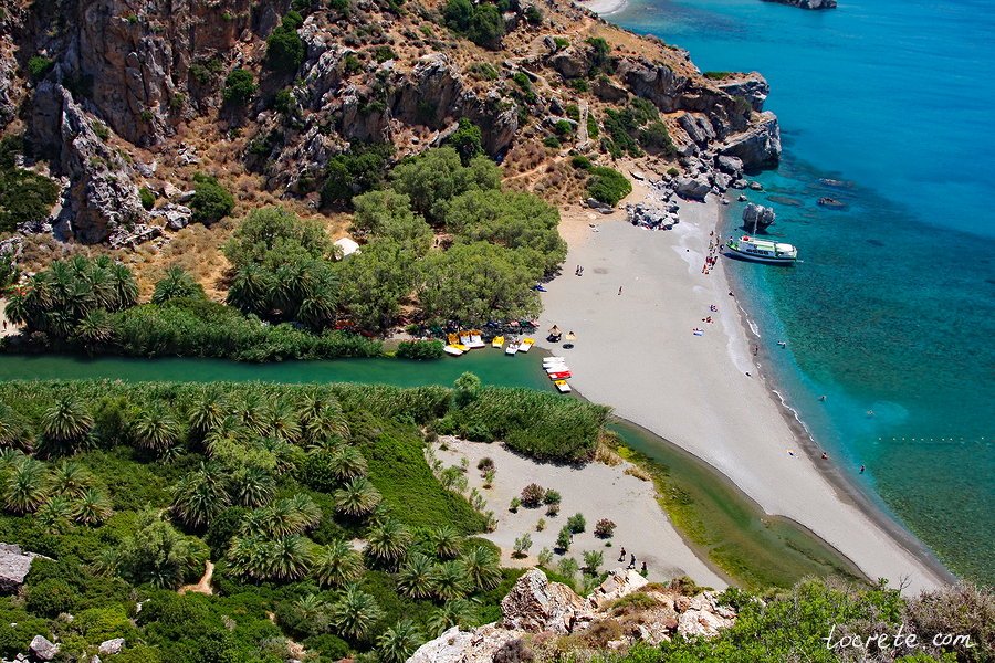 Пальмовый лес и пляж Превели (Preveli forest and beach) Пальмовый лес и пляж Превели (Preveli forest and beach)