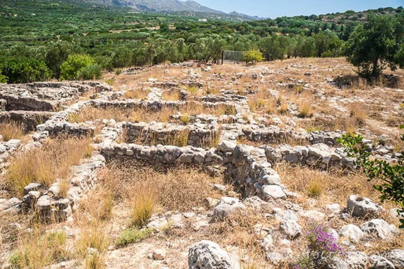 Археологическая территория Василики